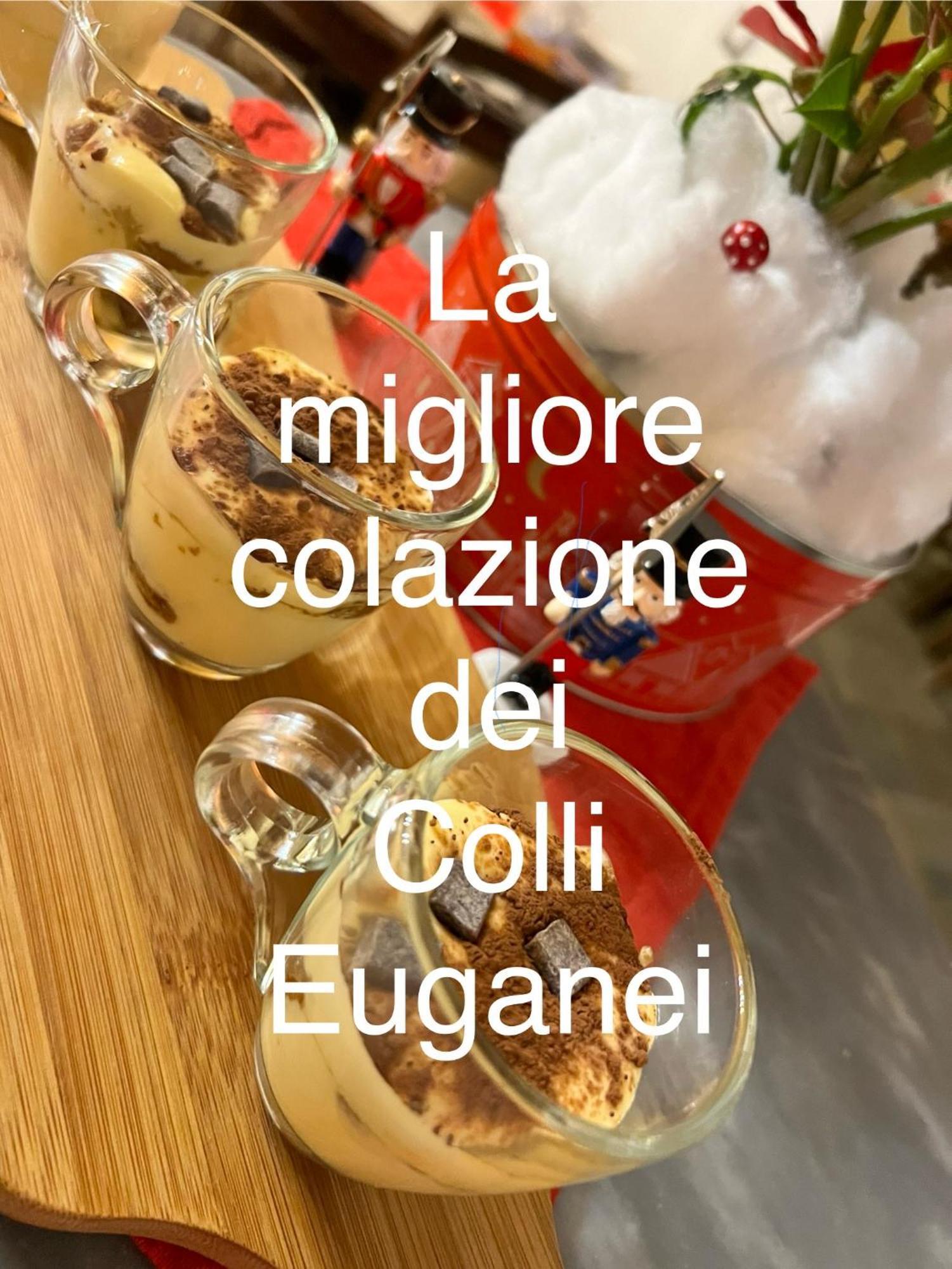 La Casa Del Riccio Cinto Euganeo