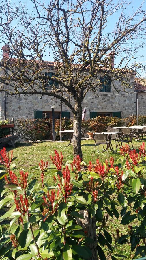 La Casa Del Riccio * Cinto Euganeo
