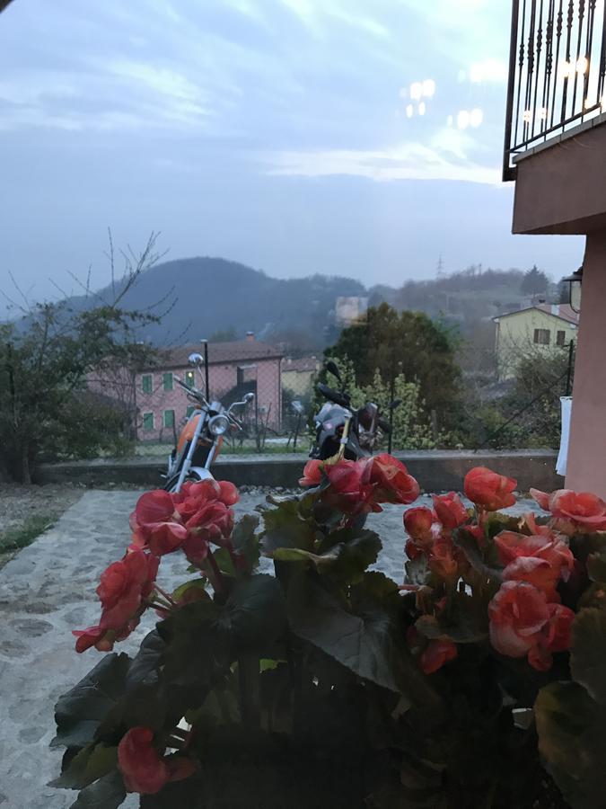 La Casa Del Riccio Cinto Euganeo