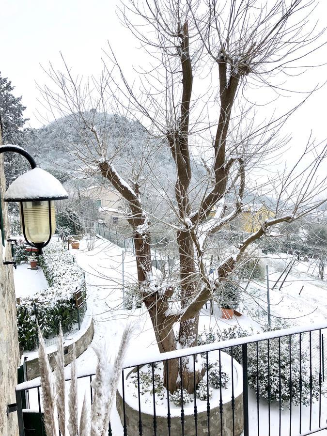 Bed & Breakfast La Casa Del Riccio Cinto Euganeo