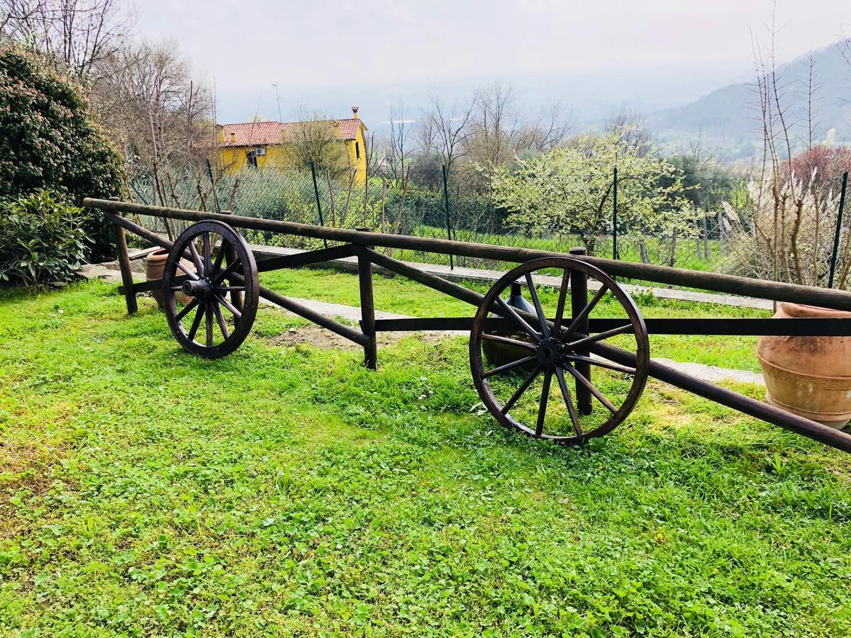 La Casa Del Riccio Bed & Breakfast