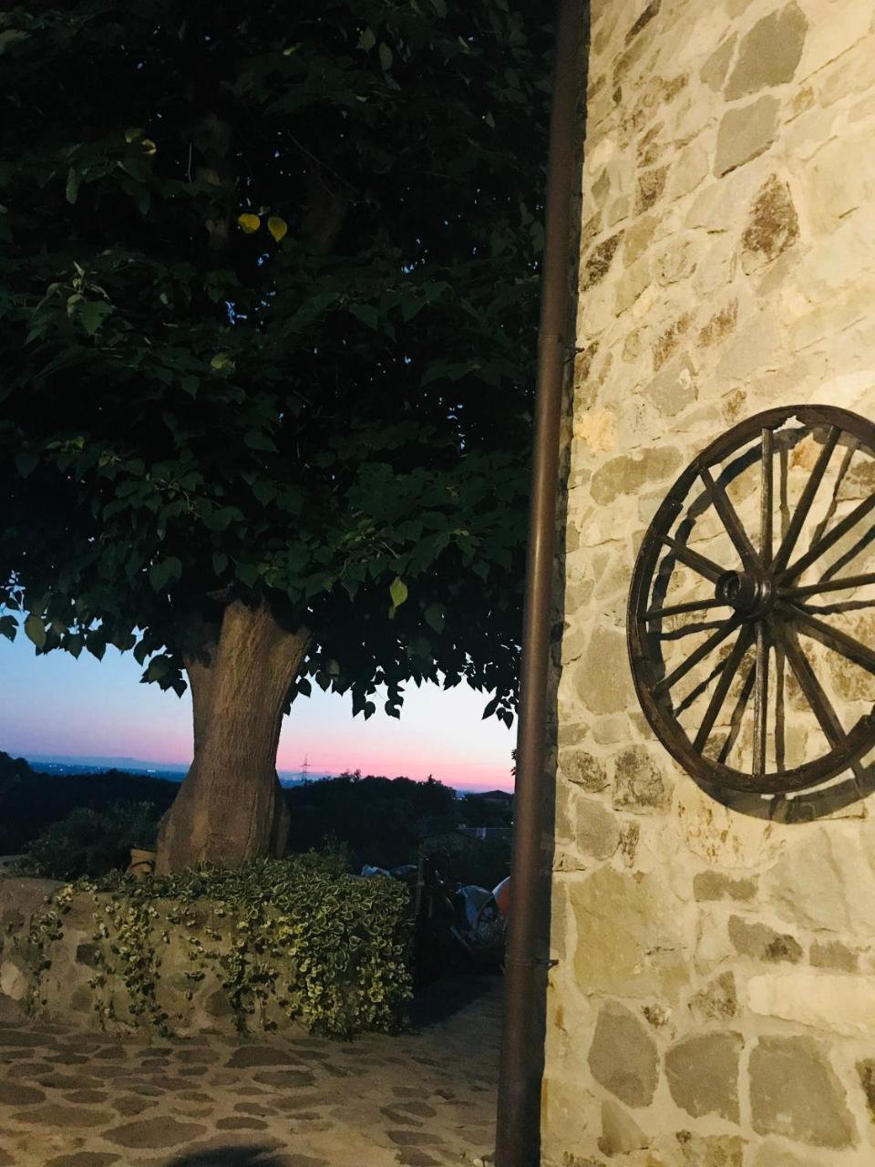 La Casa Del Riccio Frühstückspension Cinto Euganeo